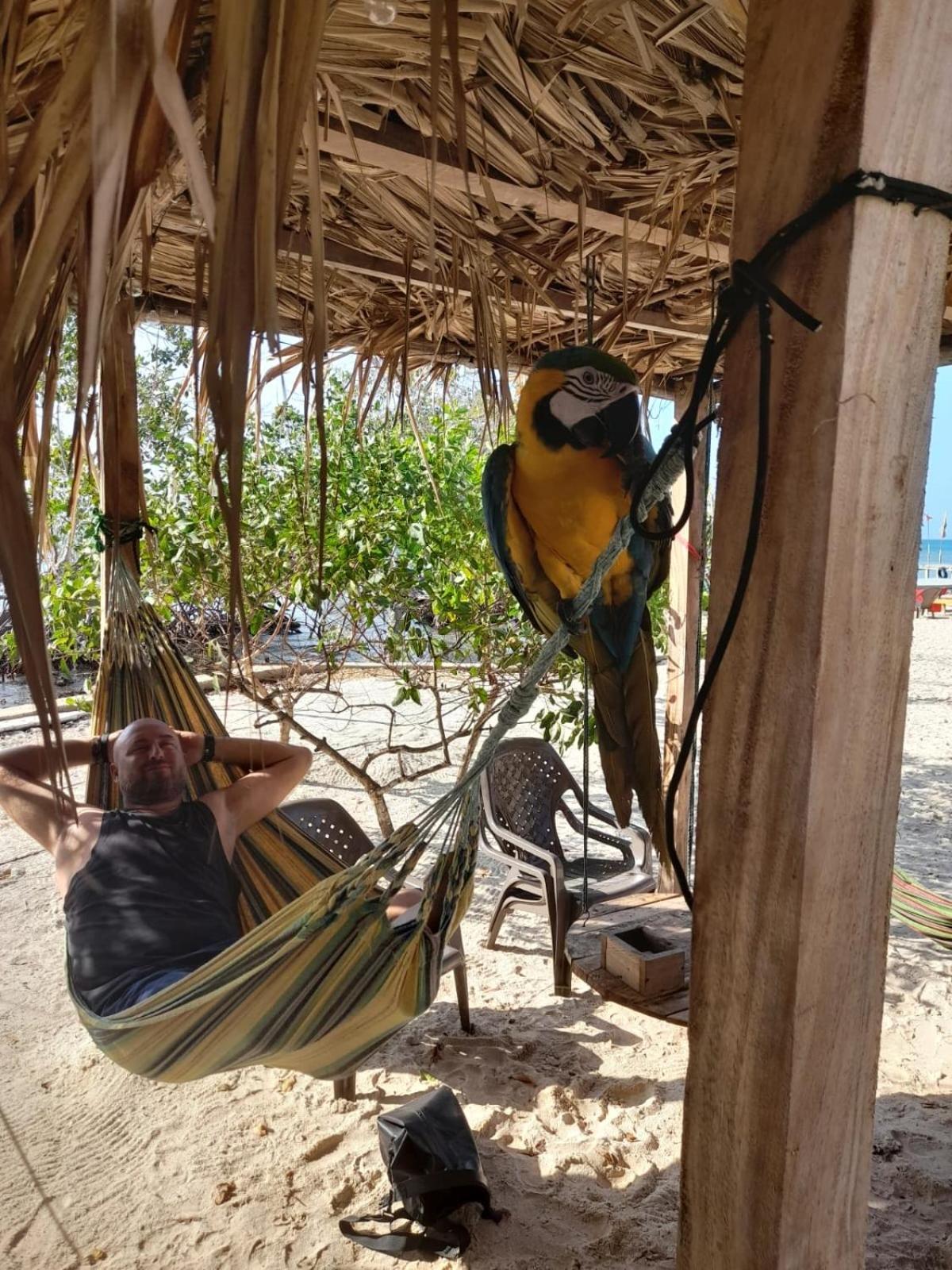 Santa Lova Eco-hostel Tintipan Island Exterior foto